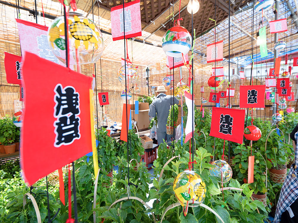 2022年夏季休診のお知らせ